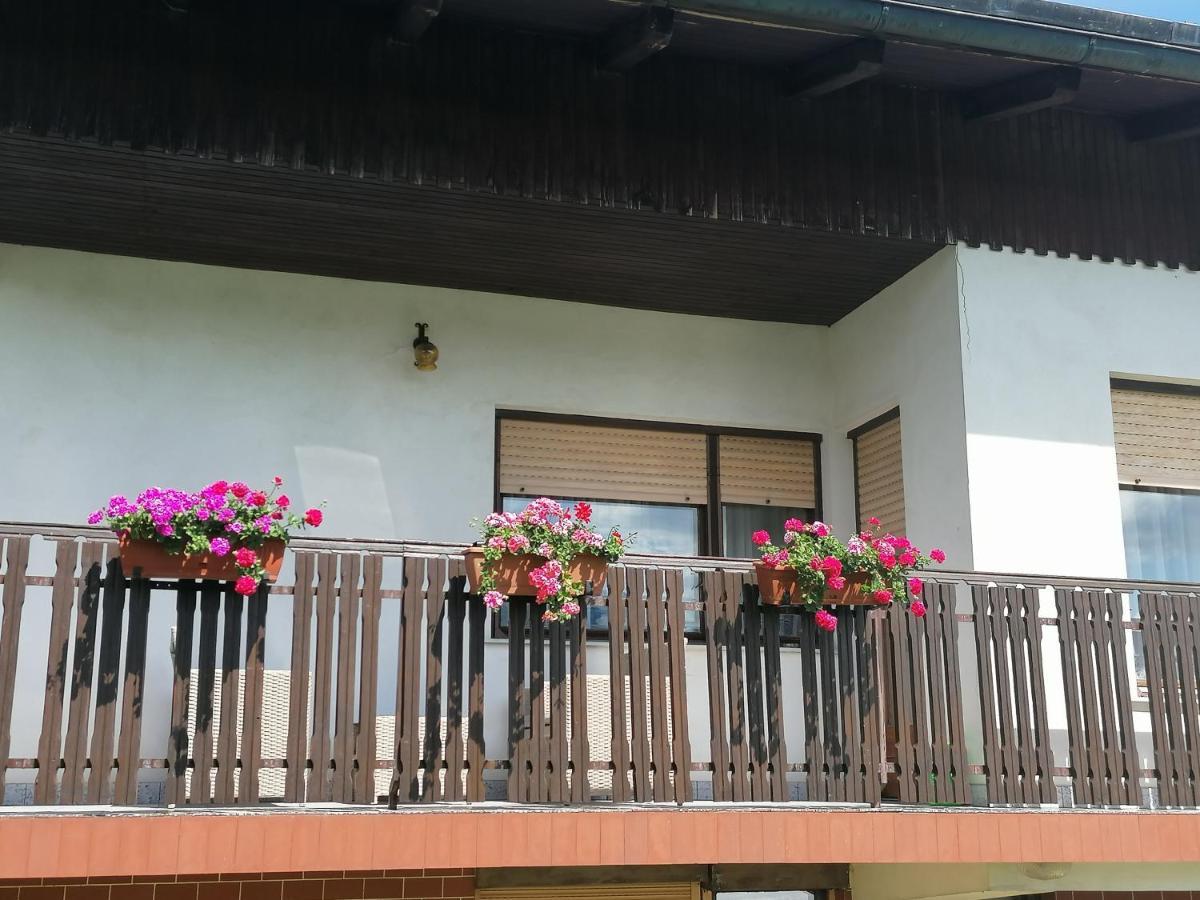 Apartments Novak Ljubno المظهر الخارجي الصورة