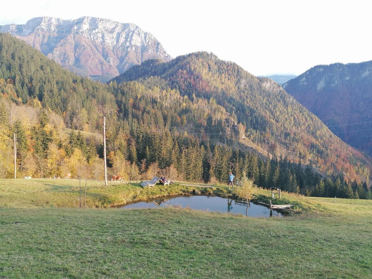 Apartments Novak Ljubno المظهر الخارجي الصورة