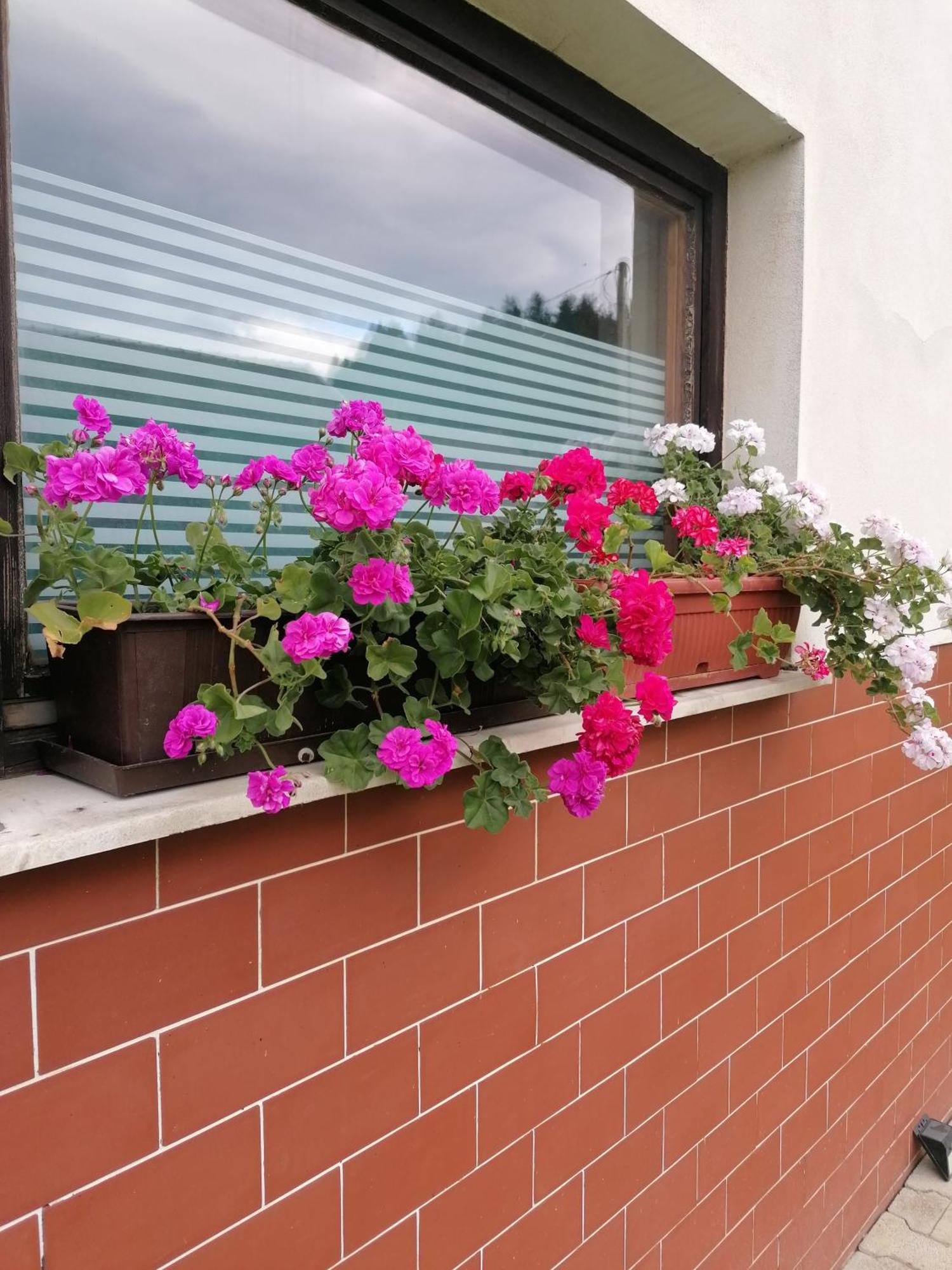 Apartments Novak Ljubno المظهر الخارجي الصورة